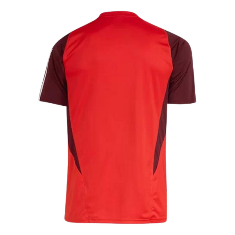 Camiseta Entrenamiento Internacional 24/25 - Hombre - Adidas