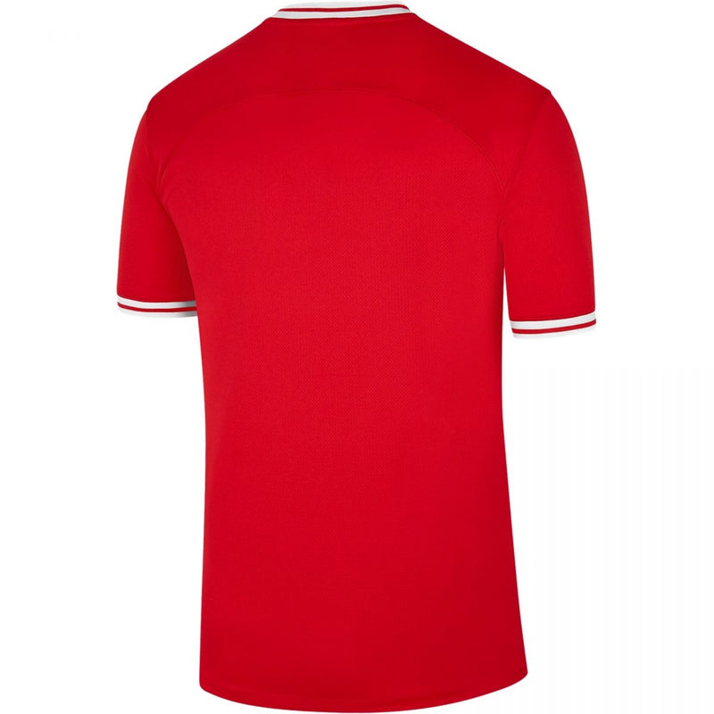 Camiseta Polonia 22/23 II (Away) - Hombre - Nike